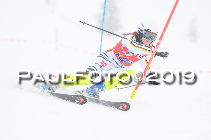 FIS Deutsche Jugendmeisterschaft Slalom Herren 2019