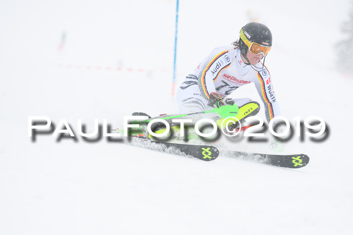 FIS Deutsche Jugendmeisterschaft Slalom Herren 2019