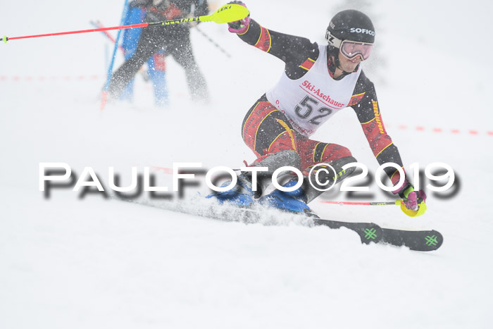 FIS Deutsche Jugendmeisterschaft Slalom Herren 2019