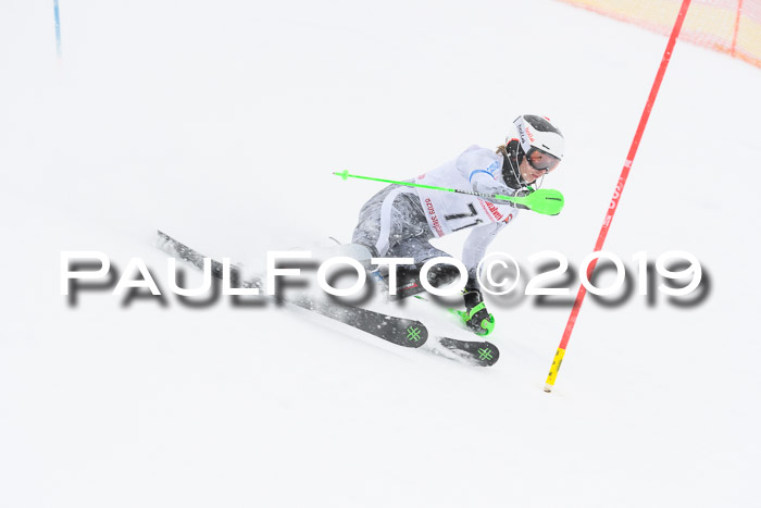 FIS Deutsche Jugendmeisterschaft Slalom Herren 2019