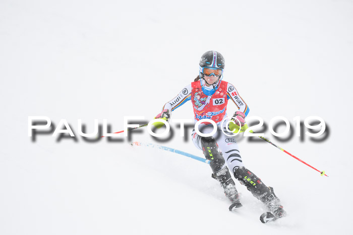 FIS  NJC Slalom Damen 26.01.2019