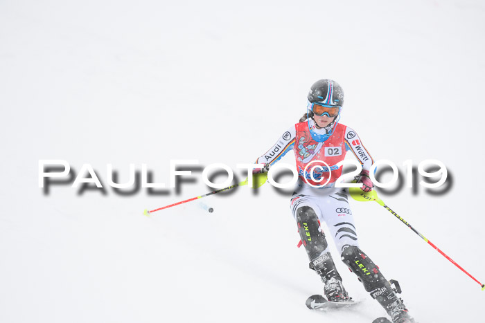 FIS  NJC Slalom Damen 26.01.2019