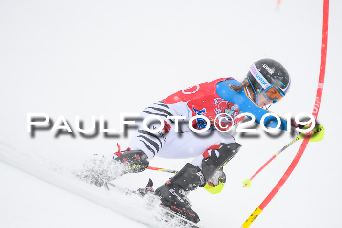 FIS  NJC Slalom Damen 26.01.2019