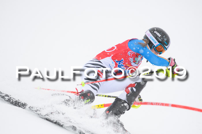 FIS  NJC Slalom Damen 26.01.2019