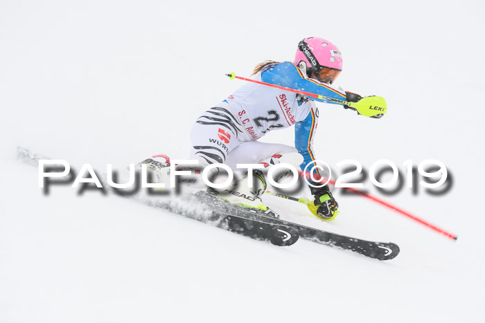 FIS  NJC Slalom Damen 26.01.2019