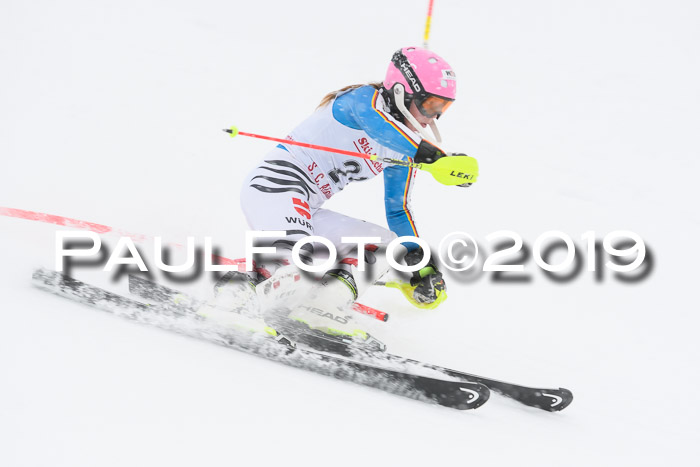 FIS  NJC Slalom Damen 26.01.2019