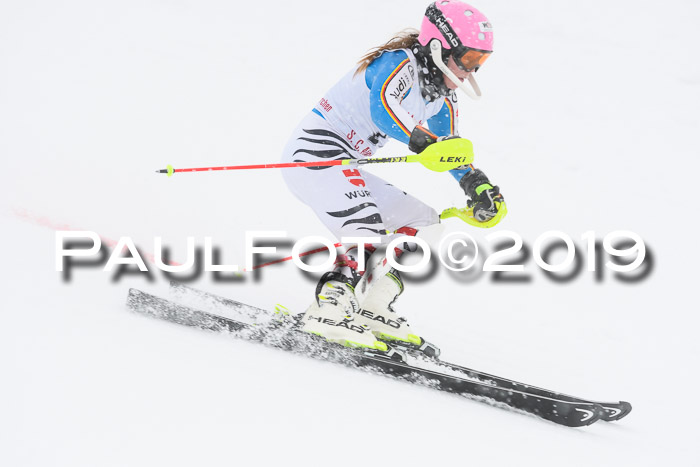 FIS  NJC Slalom Damen 26.01.2019