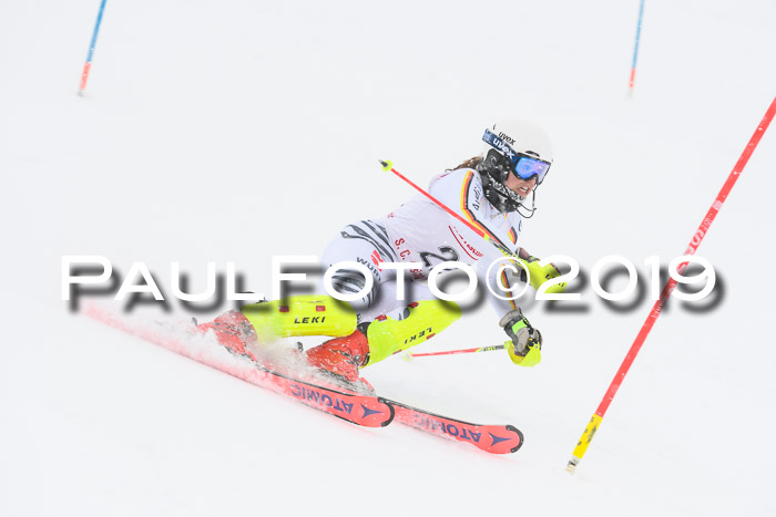 FIS  NJC Slalom Damen 26.01.2019