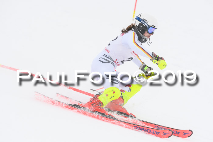 FIS  NJC Slalom Damen 26.01.2019