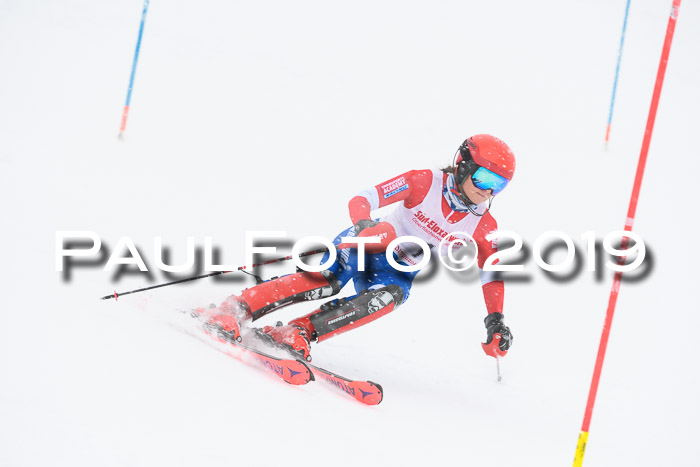 FIS  NJC Slalom Damen 26.01.2019