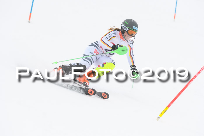 FIS  NJC Slalom Damen 26.01.2019