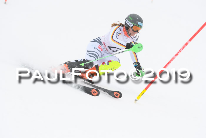 FIS  NJC Slalom Damen 26.01.2019
