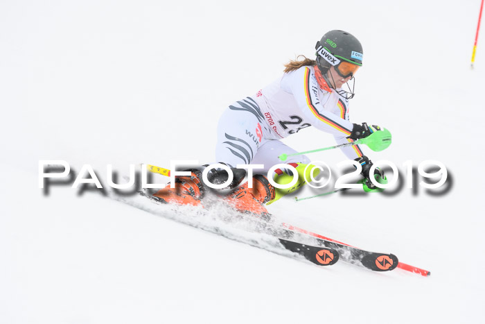 FIS  NJC Slalom Damen 26.01.2019