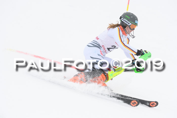 FIS  NJC Slalom Damen 26.01.2019