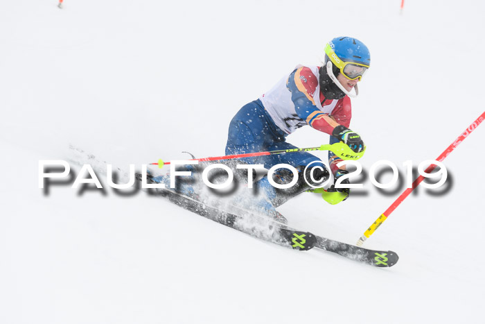 FIS  NJC Slalom Damen 26.01.2019