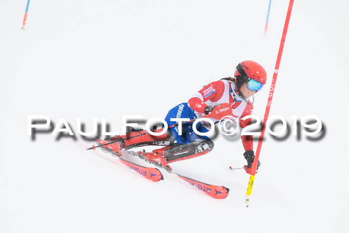 FIS  NJC Slalom Damen 26.01.2019