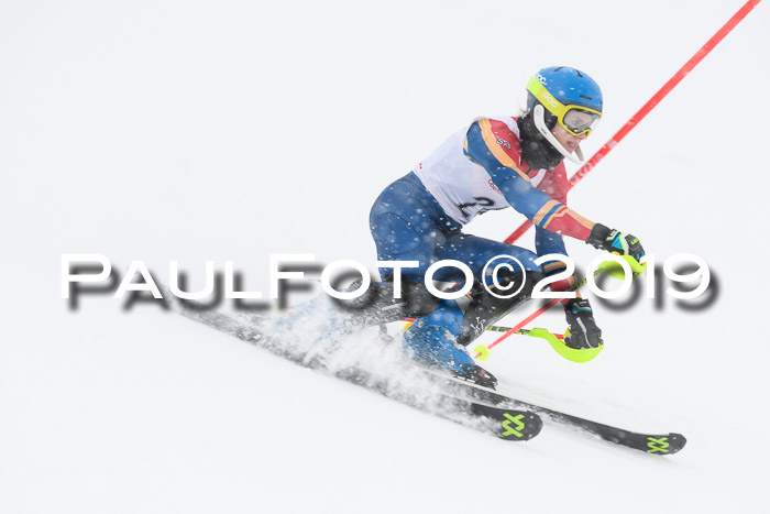FIS  NJC Slalom Damen 26.01.2019