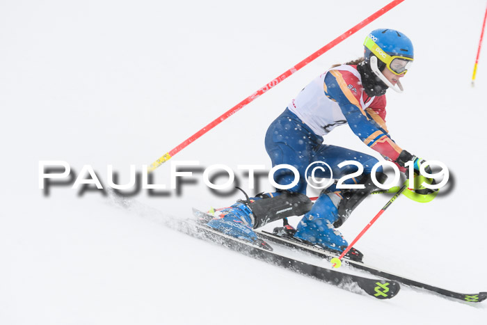 FIS  NJC Slalom Damen 26.01.2019