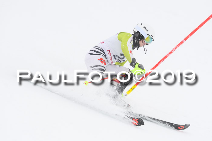 FIS  NJC Slalom Damen 26.01.2019
