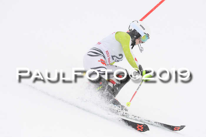 FIS  NJC Slalom Damen 26.01.2019