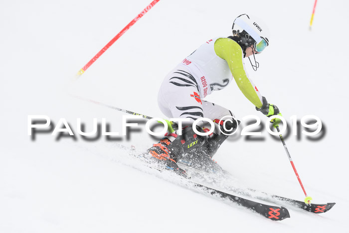 FIS  NJC Slalom Damen 26.01.2019