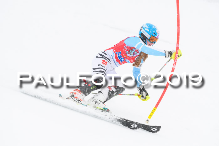 FIS  NJC Slalom Damen 26.01.2019