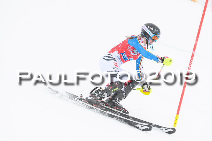 FIS  NJC Slalom Damen 26.01.2019