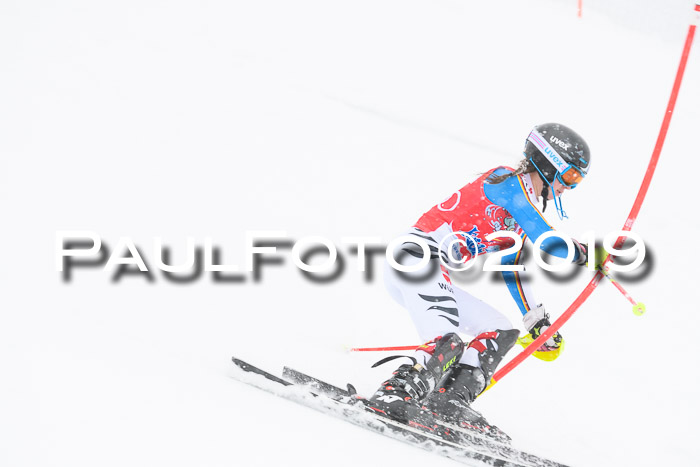 FIS  NJC Slalom Damen 26.01.2019