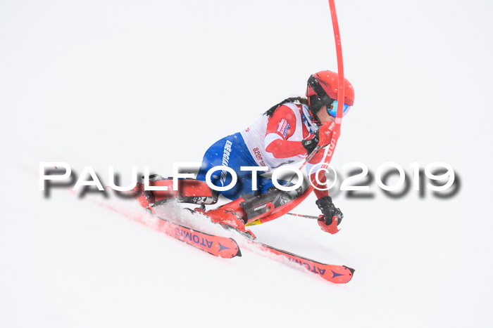 FIS  NJC Slalom Damen 26.01.2019