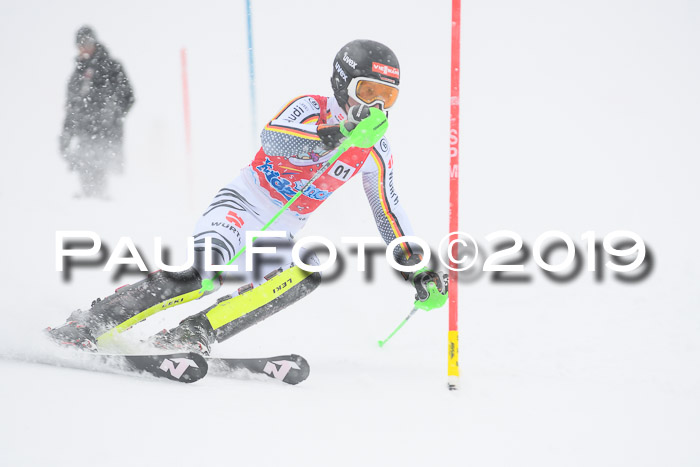 FIS  NJC Slalom Damen 26.01.2019