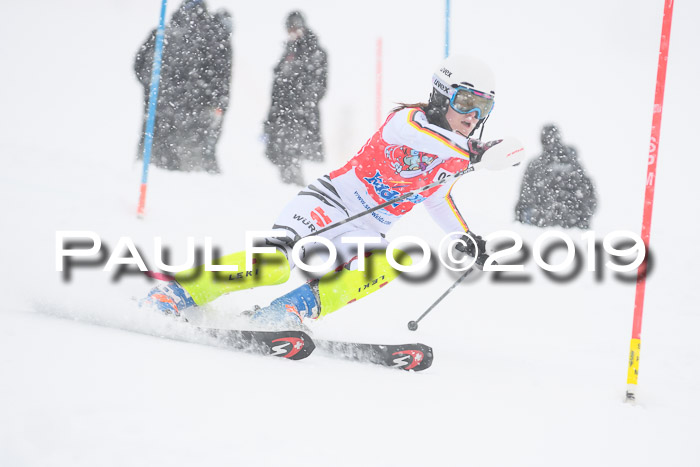 FIS  NJC Slalom Damen 26.01.2019