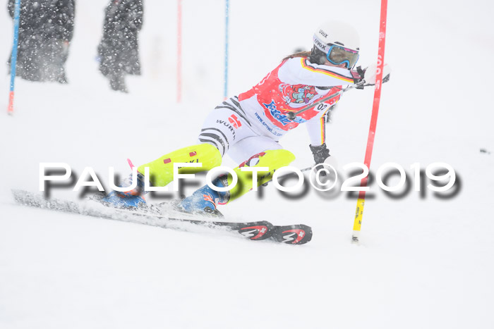 FIS  NJC Slalom Damen 26.01.2019