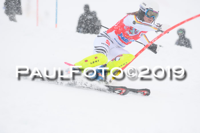 FIS  NJC Slalom Damen 26.01.2019