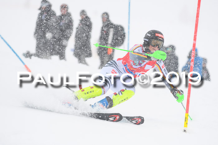 FIS  NJC Slalom Damen 26.01.2019