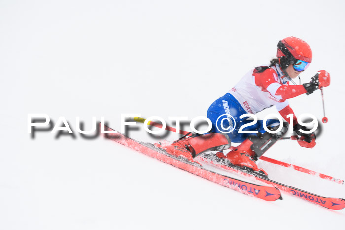 FIS  NJC Slalom Damen 26.01.2019