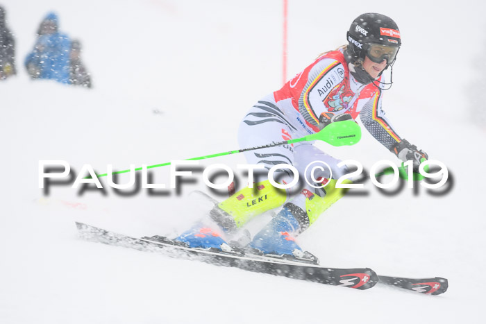FIS  NJC Slalom Damen 26.01.2019
