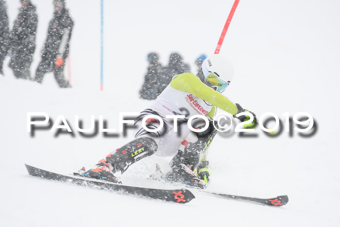 FIS  NJC Slalom Damen 26.01.2019