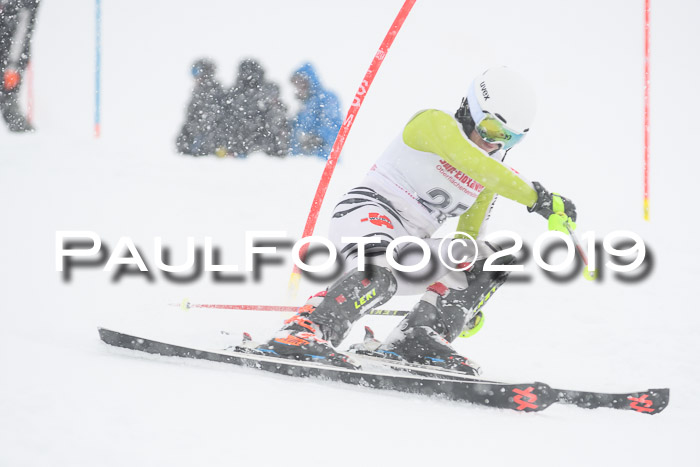 FIS  NJC Slalom Damen 26.01.2019