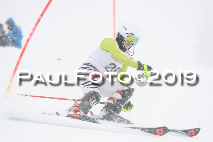 FIS  NJC Slalom Damen 26.01.2019
