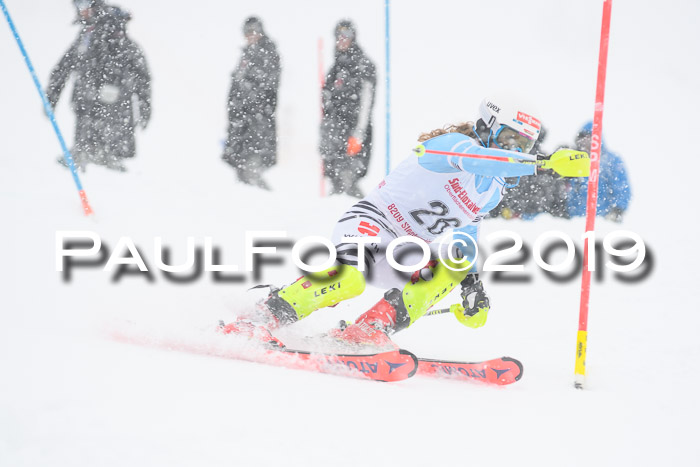 FIS  NJC Slalom Damen 26.01.2019