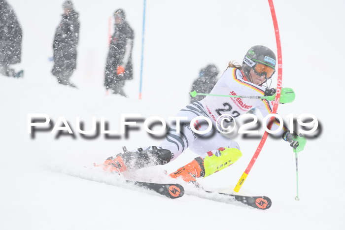 FIS  NJC Slalom Damen 26.01.2019