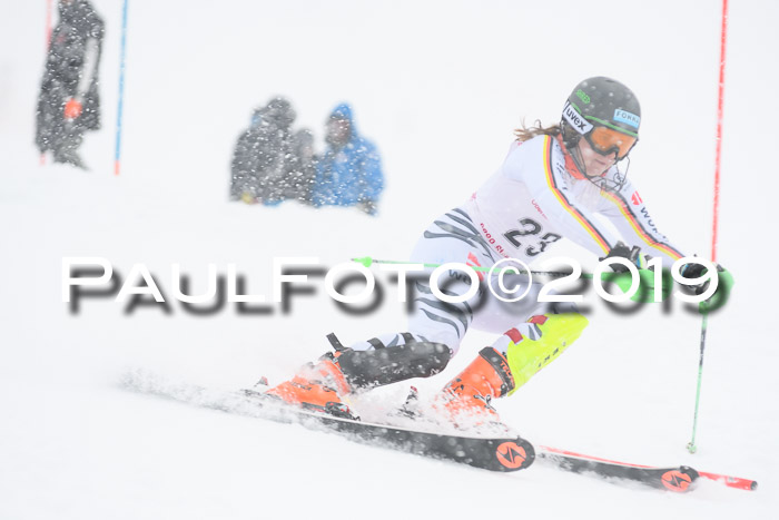 FIS  NJC Slalom Damen 26.01.2019