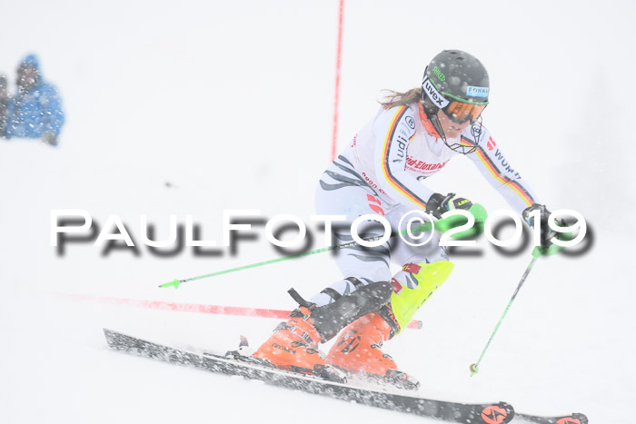 FIS  NJC Slalom Damen 26.01.2019