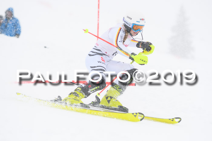 FIS  NJC Slalom Damen 26.01.2019