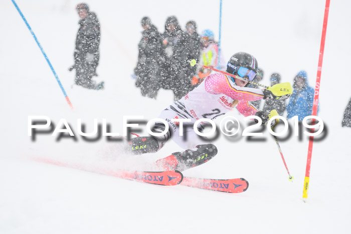 FIS  NJC Slalom Damen 26.01.2019