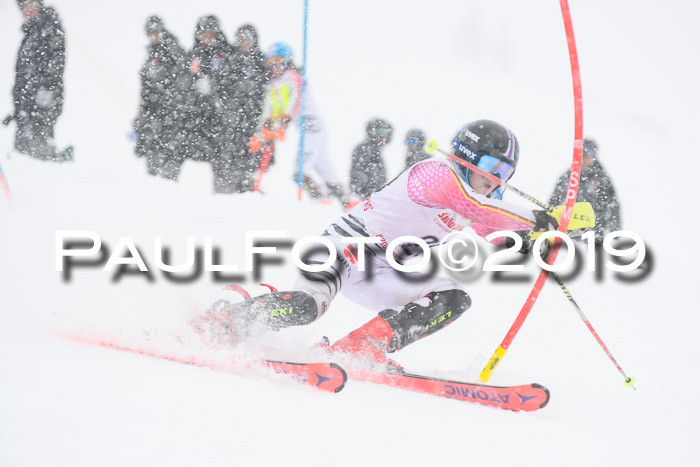 FIS  NJC Slalom Damen 26.01.2019