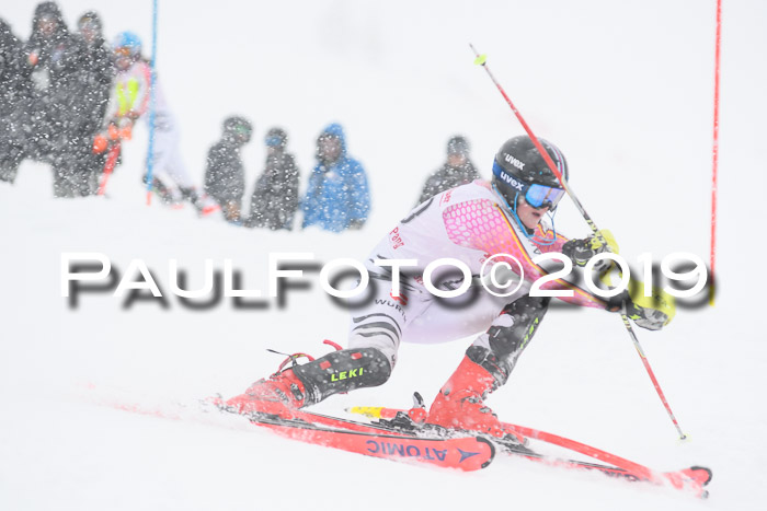 FIS  NJC Slalom Damen 26.01.2019