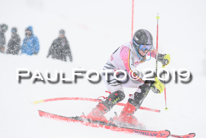FIS  NJC Slalom Damen 26.01.2019