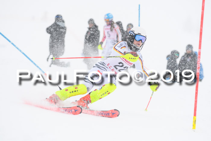 FIS  NJC Slalom Damen 26.01.2019