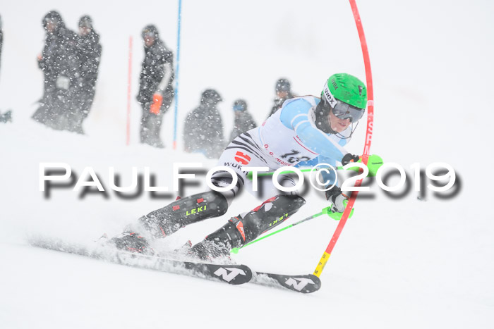 FIS  NJC Slalom Damen 26.01.2019